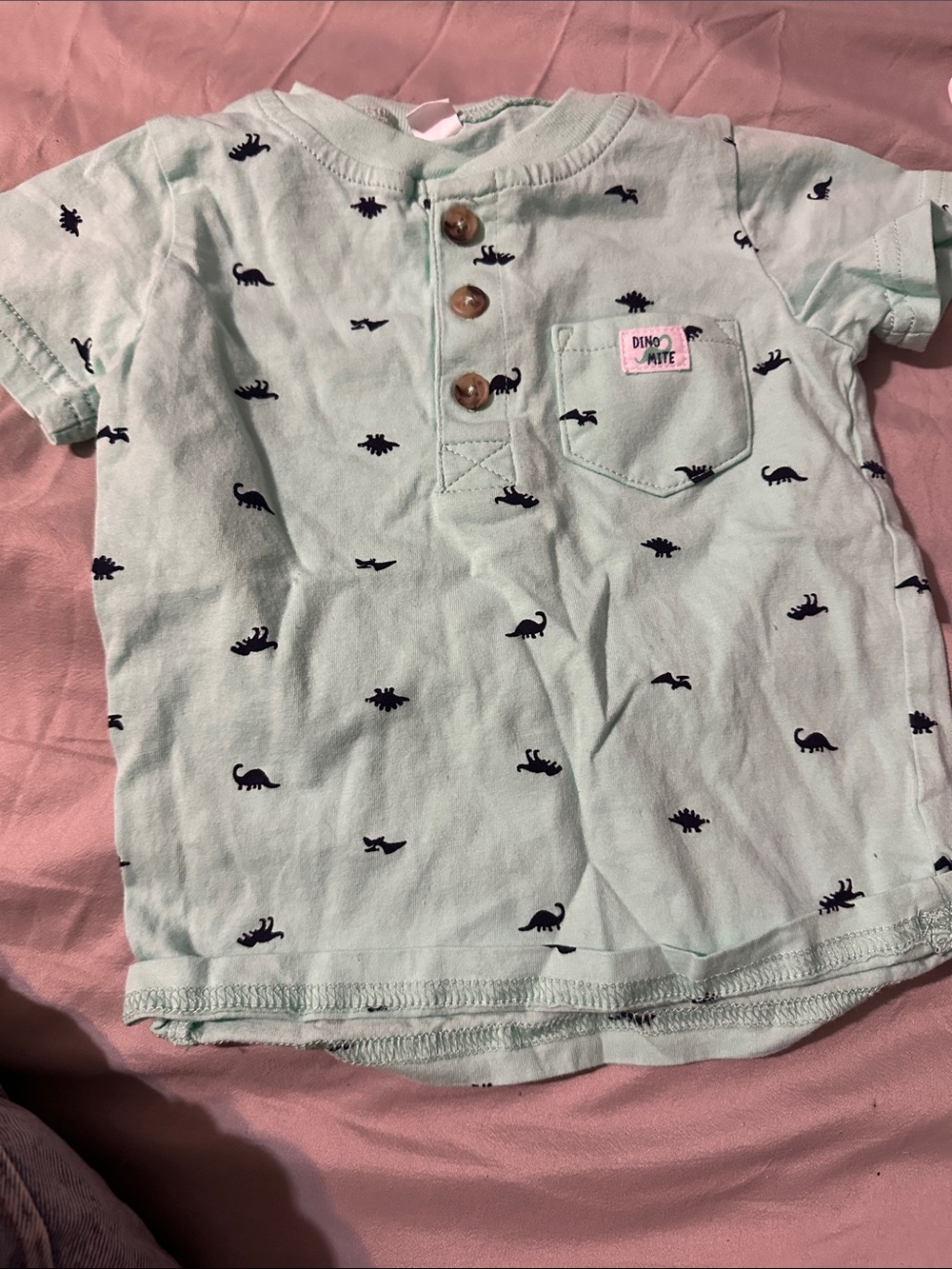 Children's Mint Green Dino Henley Tee with Pocket